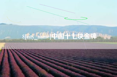 新沂中国十七块金牌