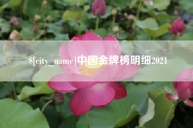 新沂中国金牌榜明细2021