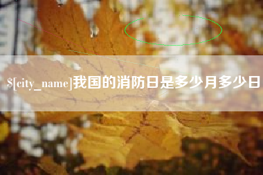 新沂我国的消防日是多少月多少日