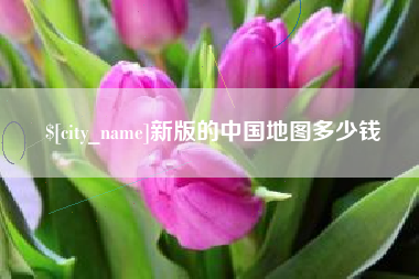 新沂新版的中国地图多少钱