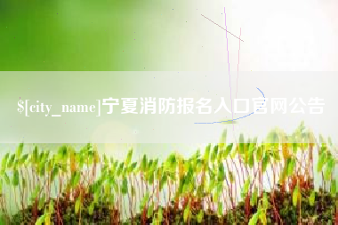 新沂宁夏消防报名入口官网公告