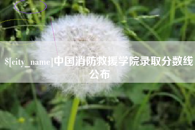 新沂中国消防救援学院录取分数线公布