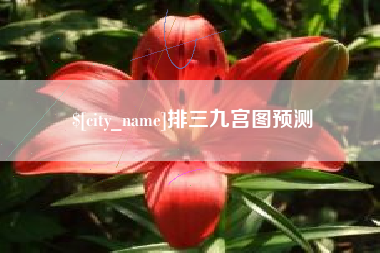 新沂排三九宫图预测