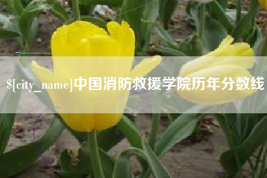 新沂中国消防救援学院历年分数线