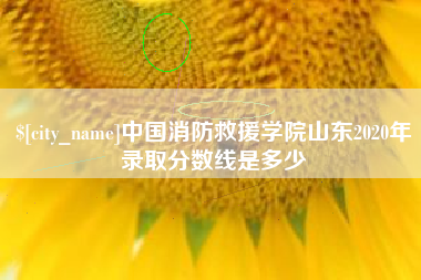 新沂中国消防救援学院山东2020年录取分数线是多少