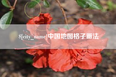 新沂中国地图格子画法