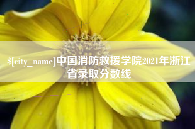 新沂中国消防救援学院2021年浙江省录取分数线