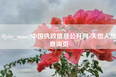 新沂中国执政信息公开网-失信人员查询页