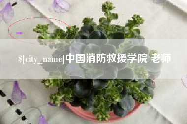 新沂中国消防救援学院 老师