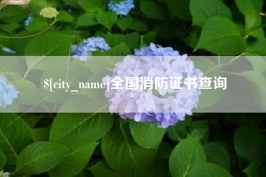 新沂全国消防证书查询