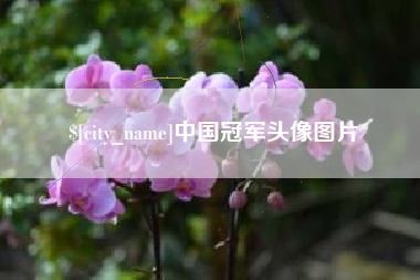 新沂中国冠军头像图片