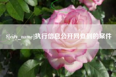 新沂执行信息公开网查到的案件