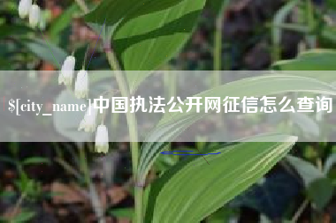 新沂中国执法公开网征信怎么查询