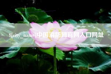 新沂中国消防网官网入口网址