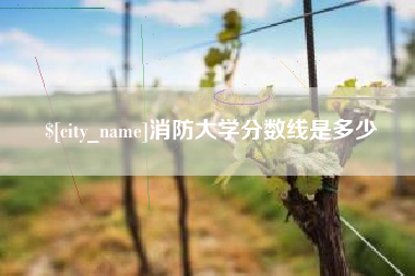 新沂消防大学分数线是多少