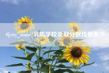 新沂消防学校录取分数线是多少