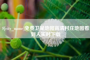 新沂免费卫星地图高清村庄地图看到人实时下载