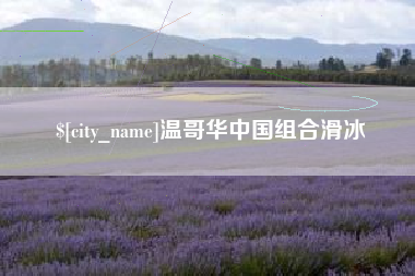 新沂温哥华中国组合滑冰