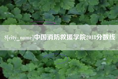 新沂中国消防救援学院2018分数线