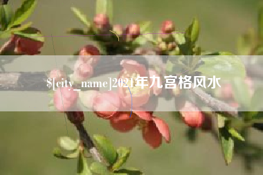 新沂2021年九宫格风水