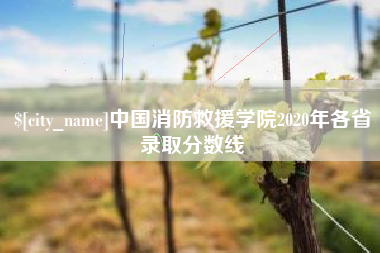 新沂中国消防救援学院2020年各省录取分数线