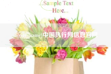 新沂中国执行网信息官网