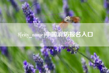 新沂中国消防报名入口