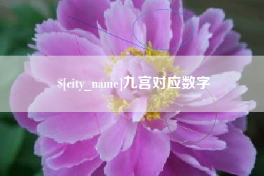 新沂九宫对应数字