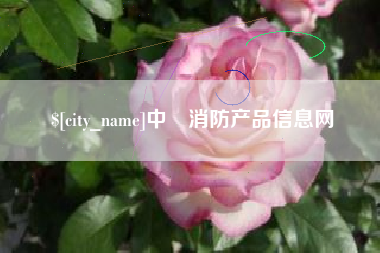 新沂中囯消防产品信息网