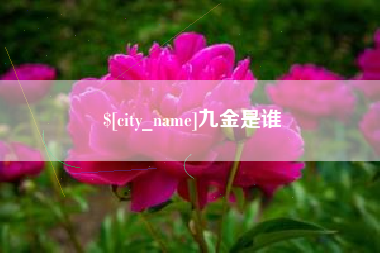 新沂九金是谁