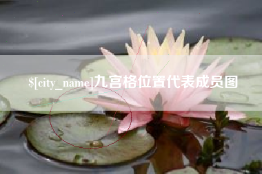 新沂九宫格位置代表成员图