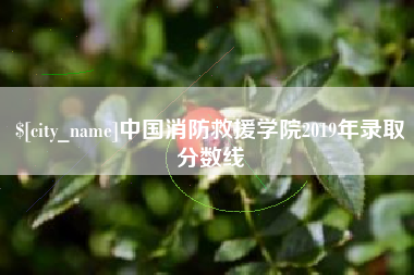 新沂中国消防救援学院2019年录取分数线