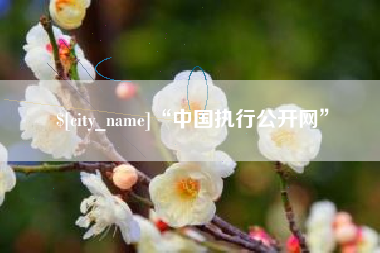 新沂“中国执行公开网”