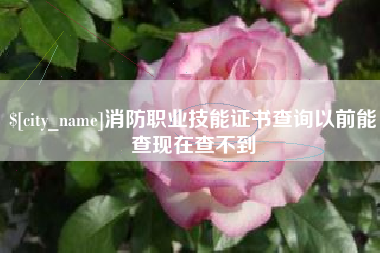 新沂消防职业技能证书查询以前能查现在查不到