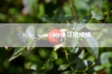 新沂5000米及格成绩