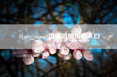 新沂国家消防报名入口