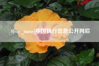 新沂中国执行信息公开网后