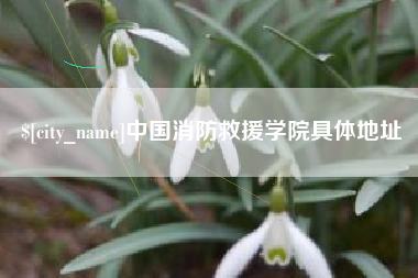 新沂中国消防救援学院具体地址