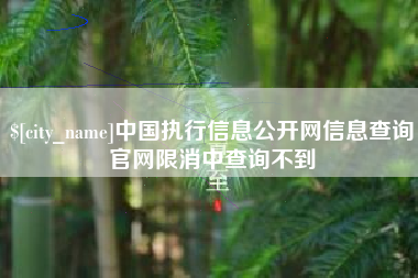 新沂中国执行信息公开网信息查询官网限消中查询不到