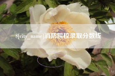 新沂消防院校录取分数线