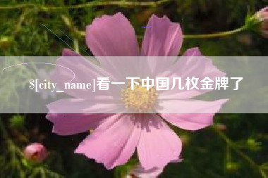 新沂看一下中国几枚金牌了