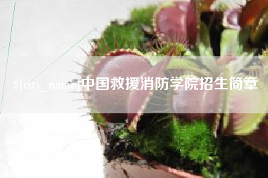 新沂中国救援消防学院招生简章