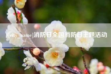 新沂消防日全国消防日主题活动