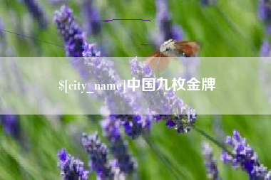 新沂中国九枚金牌
