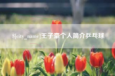 新沂王子豪个人简介乒乓球