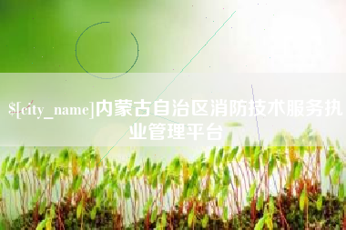 新沂内蒙古自治区消防技术服务执业管理平台
