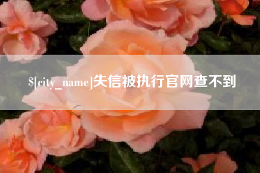 新沂失信被执行官网查不到