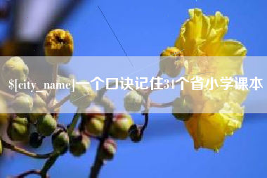 新沂一个口诀记住34个省小学课本