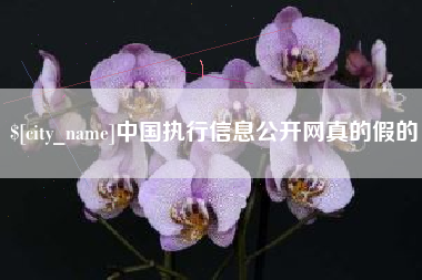 新沂中国执行信息公开网真的假的