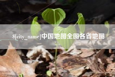 新沂中国地图全图各省地图